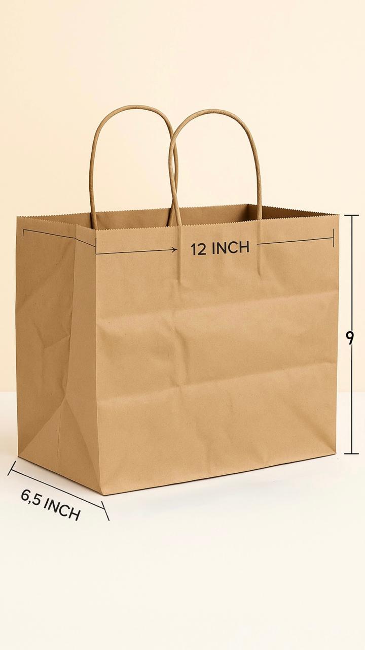 Brown Kraft Paper Carry Bag (100-pcs) pack – 12 x 9 x 6.5 Inch | Rope Handle Paper Bag